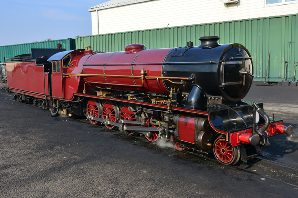 Narrow Gauge Steam Engine