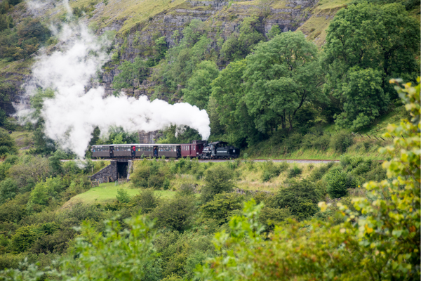 Narrow Gauge Train pulling carriages through scenic mountains