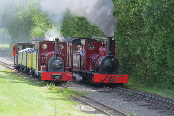 Two Engines At Statfold